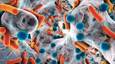 An illustration of deadly bacteria, such as methicillin-resistant Staphylococcus aureus (MRSA). MRSA is a superbug resistant to several kinds of antibiotics. According to one estimate, it killed more than 100,000 people worldwide in 2019. Image: © Kateryna_Kon – stock.adobe.com