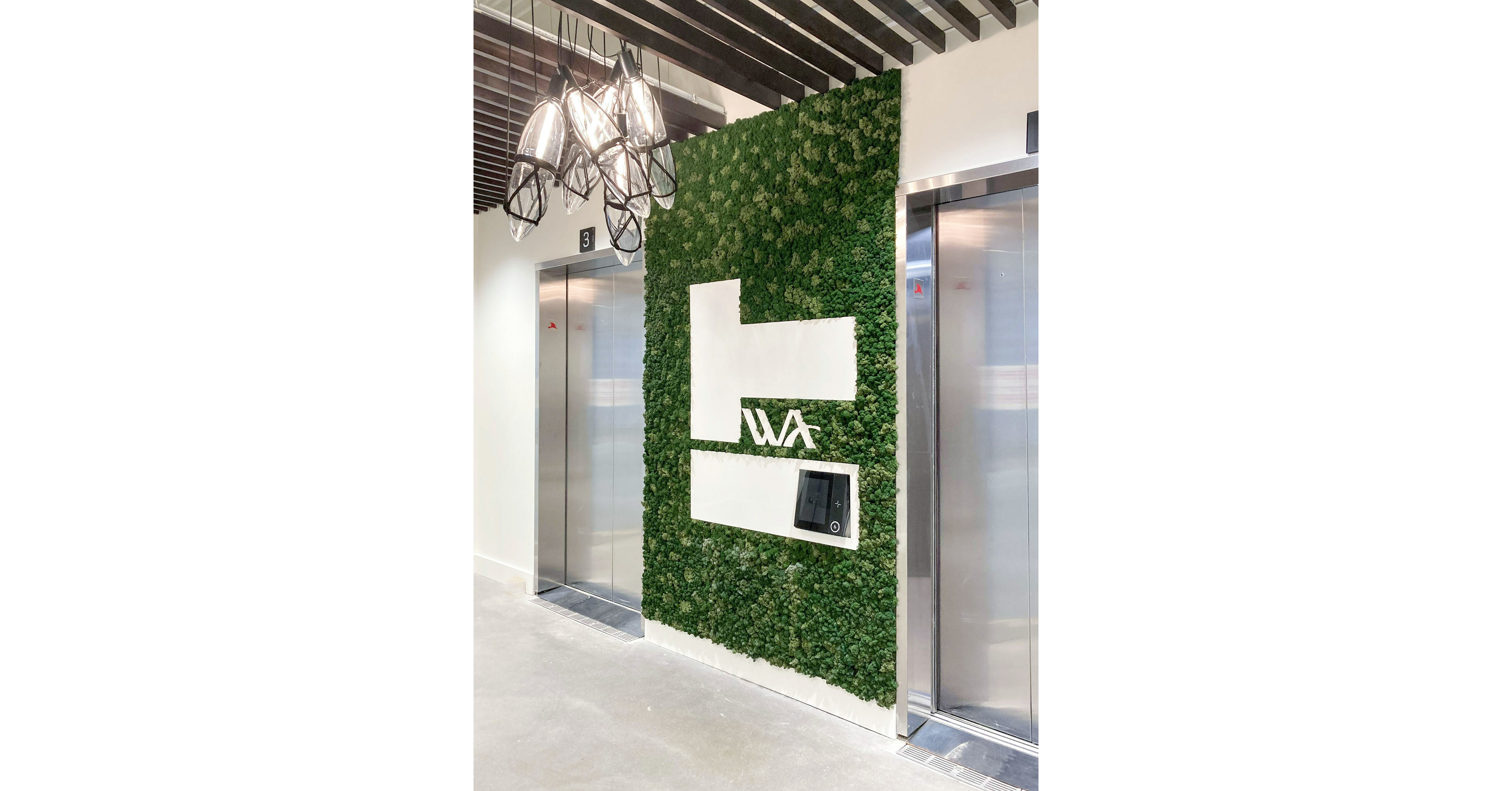 Phoenix's Green Wall Experts Marks Continued Growth With New Name &  Sustainability Focus