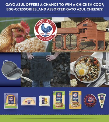 It's That Chicken Coop Time of Year Again with Gayo Azul® Cheese
