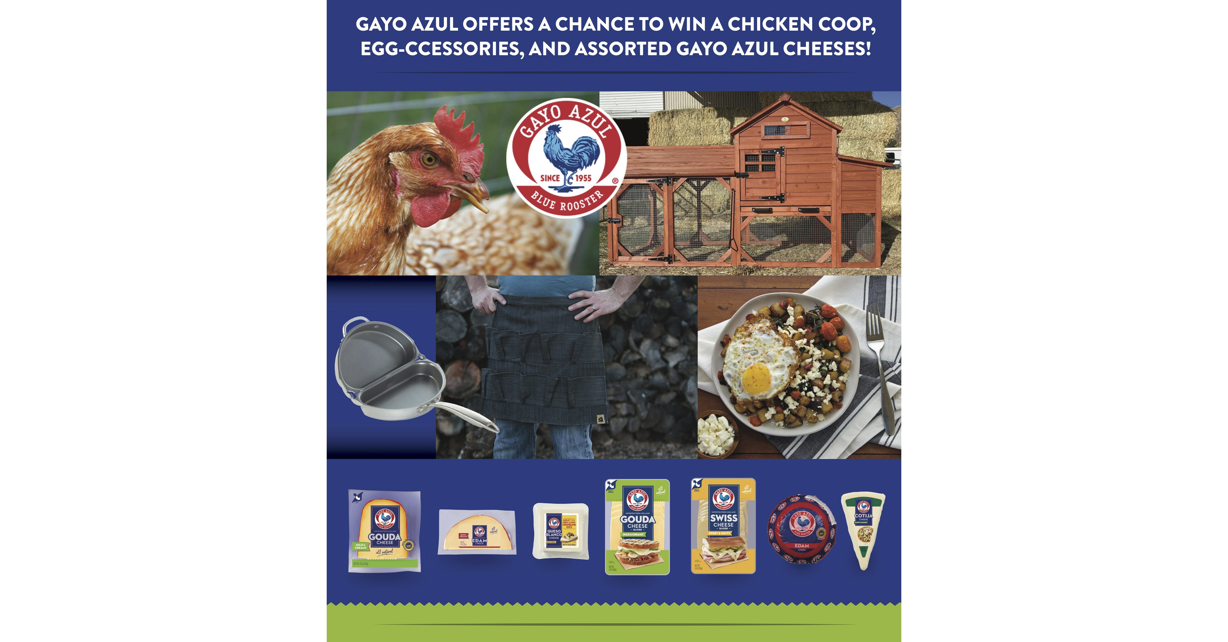 It's That Chicken Coop Time of Year Again with Gayo Azul® Cheese