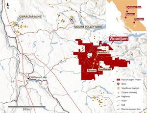 VIZSLA COPPER IDENTIFIES NEW TARGETS AT THE MEGABUCK COPPER-GOLD PORPHYRY ZONE AT THE WOODJAM PROJECT
