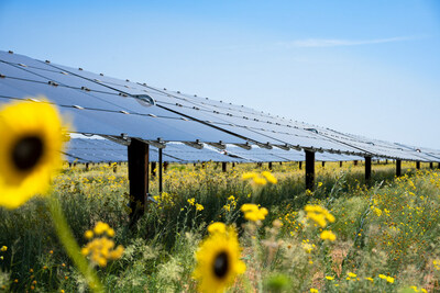 Longroad Energy solar array.