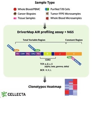 Cellecta, Inc. Launches DriverMap™ Adaptive Immune Receptor (AIR) Assay to Provide Greater Insights into Immune Repertoire Diversity by Profiling T-Cell and B-Cell Receptor Variability in Genomic DNA