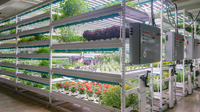 Farm.One's vertical farm in Brooklyn has come back to life, growing hundreds of varieties of herbs, edible flowers and salad greens for chefs and locals.