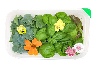 Farm.One Greens Packs available to Members, containing an exquisite selection of salad greens, herbs and flowers.