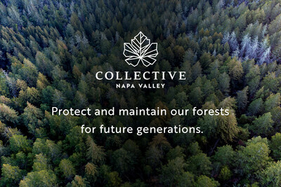 Napa Valley Vintners (NVV) invests $2.1 million in support of wildfire resiliency in Napa County. Funds will go toward fire breaks, restoration of forestlands and education on forest health and wildfires.
