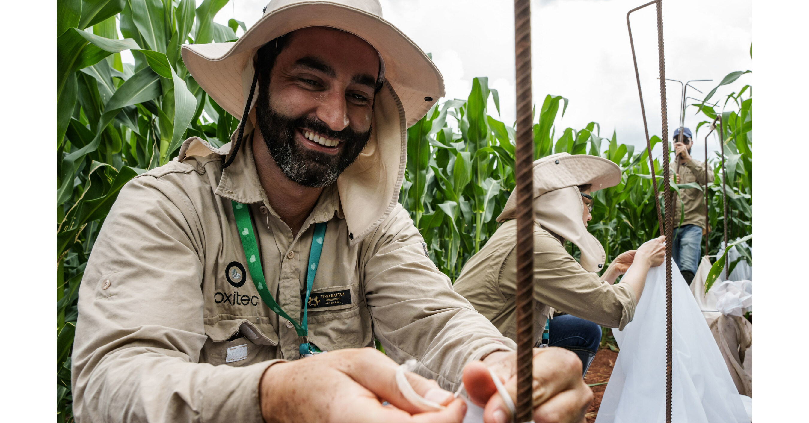 Oxitec Launches New Scale-Up of Friendly&trade; Fall Armyworm Commercial-Scale Pilot Deployments on Large Farms in Brazil