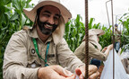 Oxitec Launches New Scale-Up of Friendly™ Fall Armyworm Commercial-Scale Pilot Deployments on Large Farms in Brazil