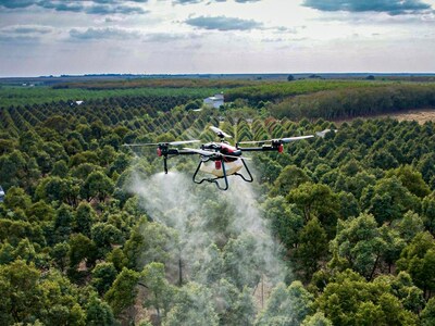 XAG P100 Agricultural Drone Spraying Durian Orchard