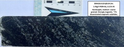 Figure 3: North Sector – DDH22LU123. Harzburgite from the ultramafic footwall sequence. (CNW Group/Bravo Mining Corp.)