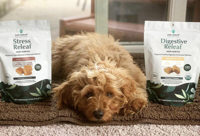 Pet Releaf's best-selling CBD products include their line of Edibites – premium small-batch soft chews made in their Colorado bakery. These human-grade dog chews come in a variety of flavors and categories to support everything from stress to mobility to digestion.