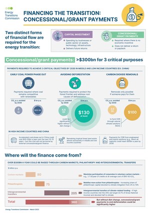 Financing the transition: the costs of avoiding deforestation