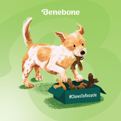 can puppies have benebones