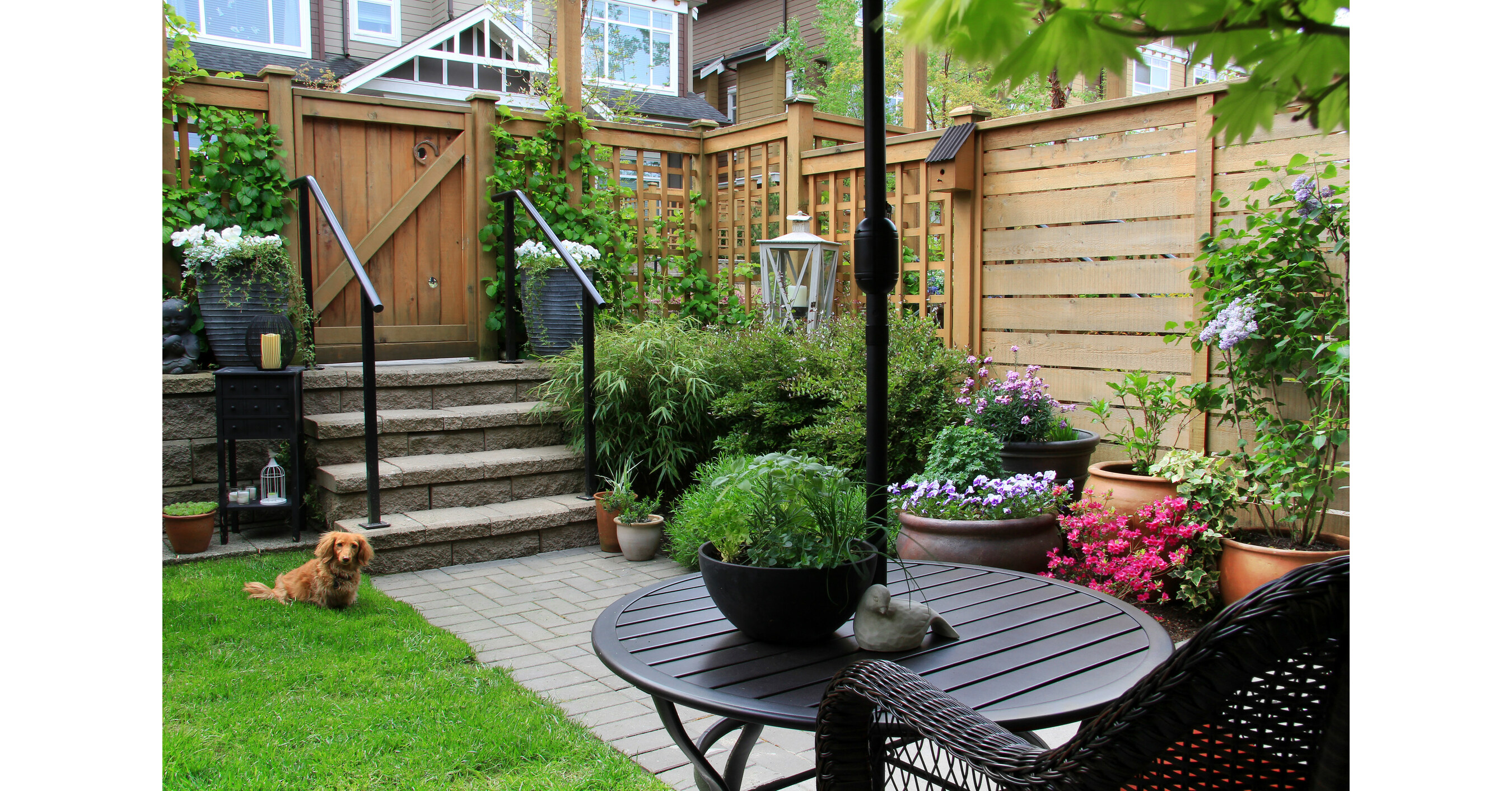 How to Backyard Big, Even in Small Spaces