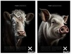 NotCo Unveils Provocative Campaign in Dundas Square that Shows What Livestock Would Look Like if They Reached Full Life Expectancy