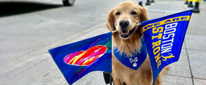 Boston Marathon dog's legacy lives on through cancer research fundraiser at Morris Animal Foundation