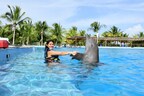 Dolphin Discovery Playa del Carmen fue Galardonada como Playa Favorita