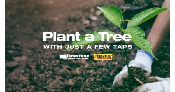 Bridgestone Retail Operations to Plant a Tree for Every New Firestone Complete Auto Care and Tires Plus App Download Nationwide