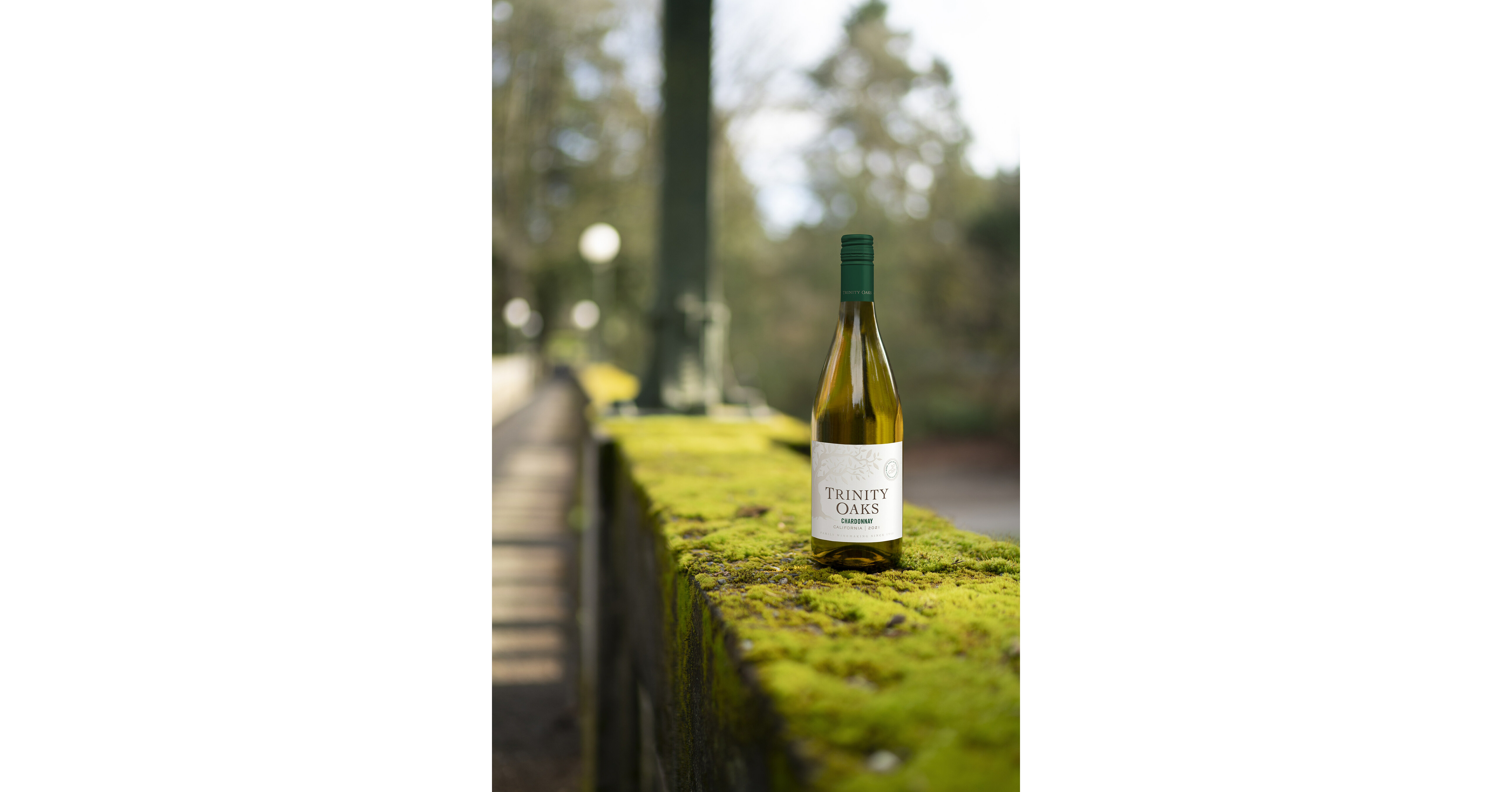 TRINITY OAKS WINES AND TREES FOR THE FUTURE NONPROFIT TOAST TO 25