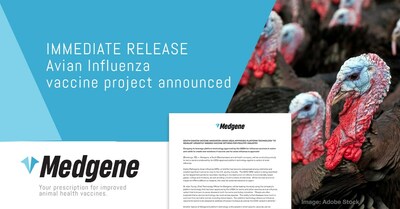 Medgene to leverage platform technology -  approved by the USDA for influenza vaccines in swine and cattle -  to create new solutions if vaccine use for avian influenza is approved