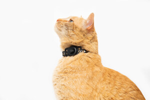 Tile Unleashes Tile for Cats to Give Cat Owners Peace of Mind