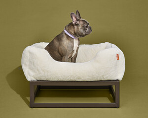 FÜZI PETS Introduces Elevated Modular Pet Beds that Meet Your High Style Standards