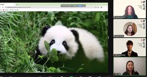 International Chinese Language Day Giant Panda Series Livestream Builds Bridge for Cultural Exchange