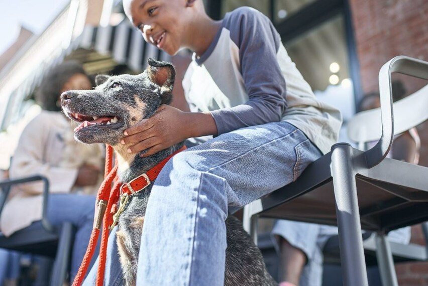 Purina Seeks Research Proposals from Pet-Loving Scientists to Study the Human-Animal Bond - Vimarsana News