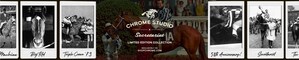 SECRETARIAT LIMITED EDITION COLLECTION By CHROME STUDIO