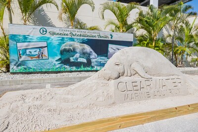 Clearwater Marine Aquarium breaks ground on Manatee Rehabilitation Center