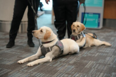Guide dogs Polly and Mango taking a break from their training session (CNW Group/Greater Toronto Airports Authority)
