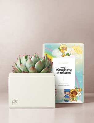 Photo of Lula's Garden planter gift box limited-time only Strawberry Shortcake Petite Garden