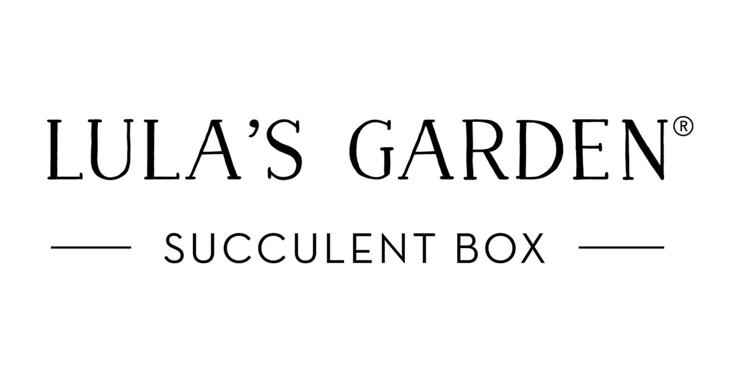 Lula's Garden Partners with Strawberry Shortcake to Launch Themed Gift