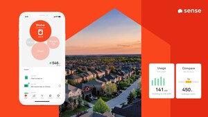 New Sense Report: Unlocking Energy Efficiency for US Homeowners