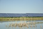 Four California CCAs Procure Over 15 MW of Local Solar Power with 8 MWh of Storage Within Their Service Areas