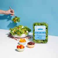 Little Leaf Farms Expands into New Product Category with Introduction of  Salad Kits