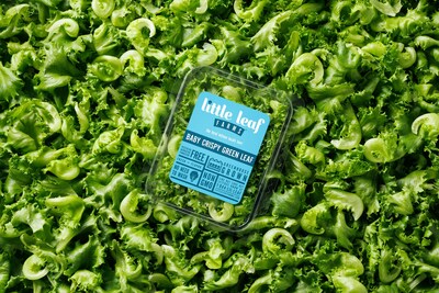 Little Leaf Farms Files to Trademark Signature Curve of its Baby Crispy Green Leaf Lettuce.