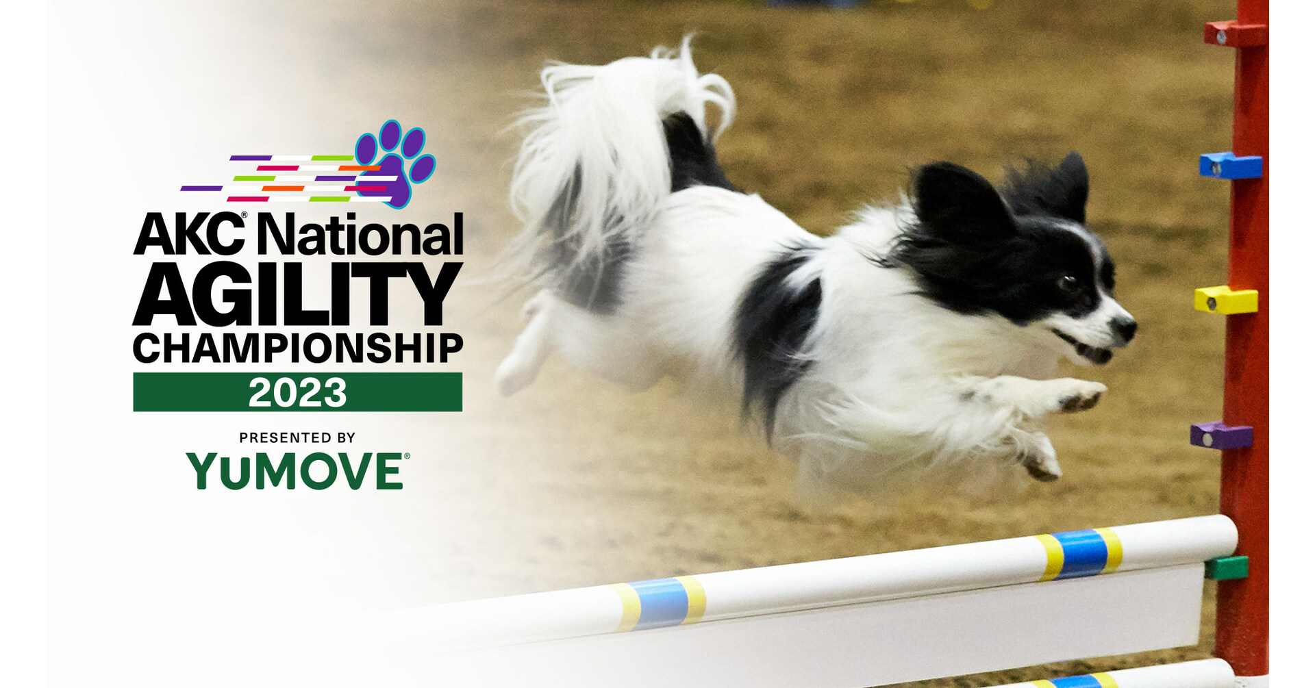 THE AMERICAN KENNEL CLUB NATIONAL AGILITY CHAMPIONSHIP LEAPS ONTO ESPN2
