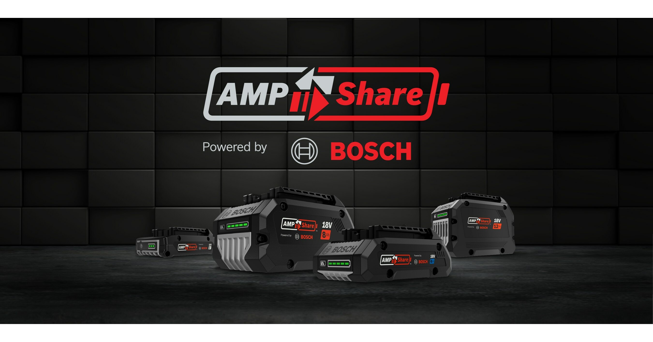 Set batteries du Professional 18V System Bosch : 2 batteries