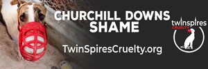 Airplane Ad Over Kentucky Derby Urges Churchill Downs to End Ties to Dog Racing