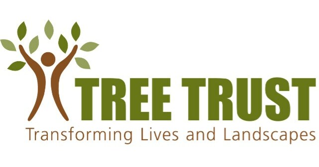 Tree Trust YouthBuild Awarded $1.5 Million Grant from U.S. Department ...