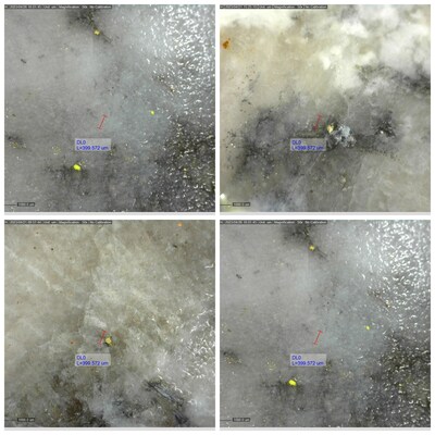 Figure 5: Examples of Visible Gold Observed in DDRCCC-23-042 (CNW Group/Sitka Gold Corp.)