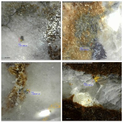 Figure 6: Examples of Visible Gold Observed in DDRCCC-23-043 (CNW Group/Sitka Gold Corp.)
