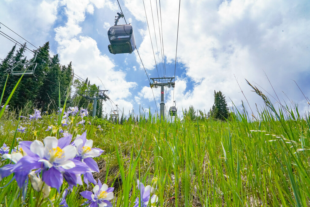 Don't wait! Five Reasons to Buy an Epic Pass by May 29 - Vimarsana News