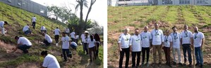Companhia Brasileira de Cartuchos realiza o plantio de 2 mil mudas de árvores nativas