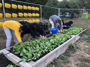 Nature's Path Supports 15 Community Gardens with more than $100,000 in grants through its Gardens for Good Program