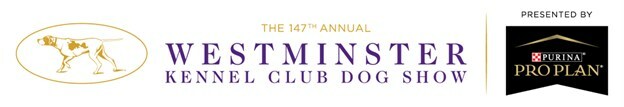 PETIT BASSET GRIFFON VENDÉEN WINS BEST IN SHOW AT THE 147TH ANNUAL WESTMINSTER KENNEL CLUB DOG SHOW - Vimarsana News