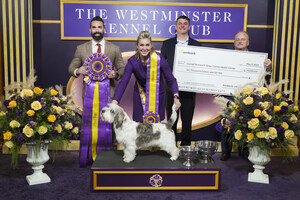 Westminster dog DNA test sponsor Embark donates $10k to Cornell University Richard P. Riney Canine Health Center
