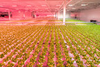 An indoor farm pushing forward the urban agriculture movement