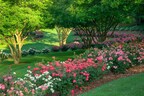 Gibbs Gardens in May--A World-Class Springtime Experience